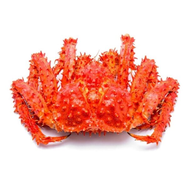 King Crab - Image 4