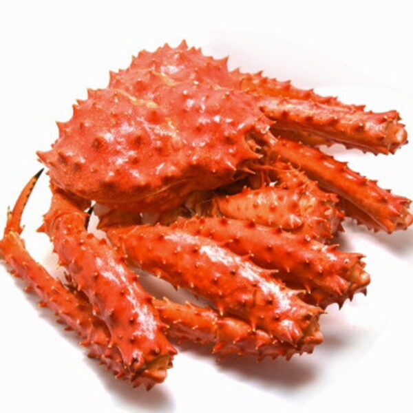 King Crab
