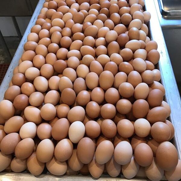 Farm Fresh Chicken Table Egg - Image 3