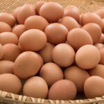 Farm Fresh Chicken Table Egg