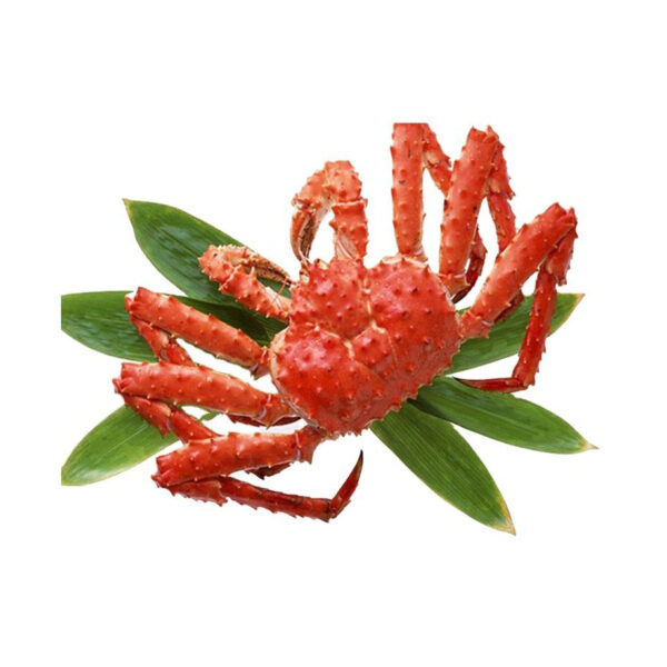 King Crab - Image 2