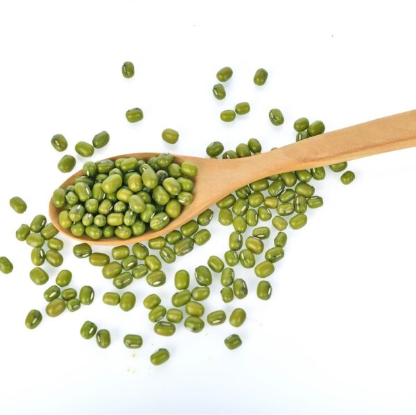 Vigna Mung Beans - Image 4