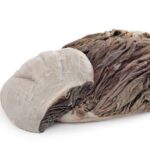SALTED BEEF OMASUM