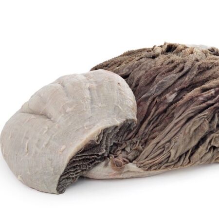 SALTED BEEF OMASUM