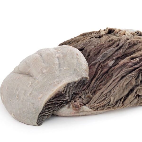 SALTED BEEF OMASUM