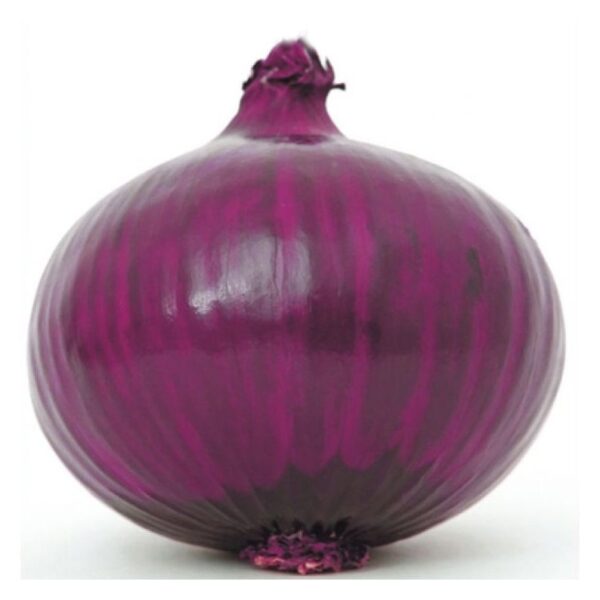 Fresh Onion - Image 2