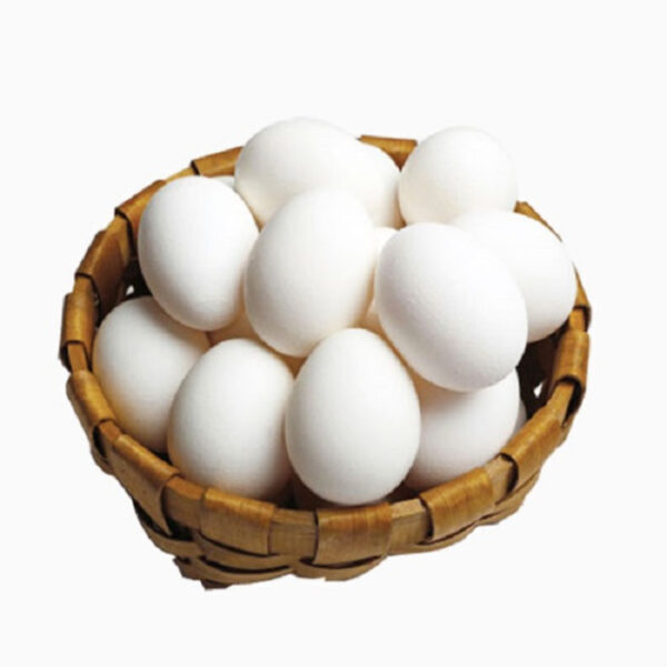 Fertilized Hatching Eggs - Image 4