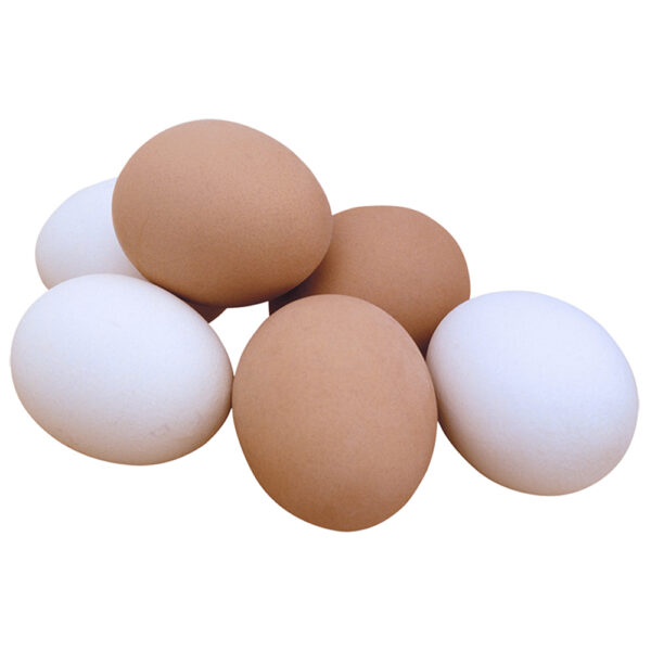 Fertilized Hatching Eggs - Image 2