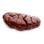 Brazilian frozen beef kidney