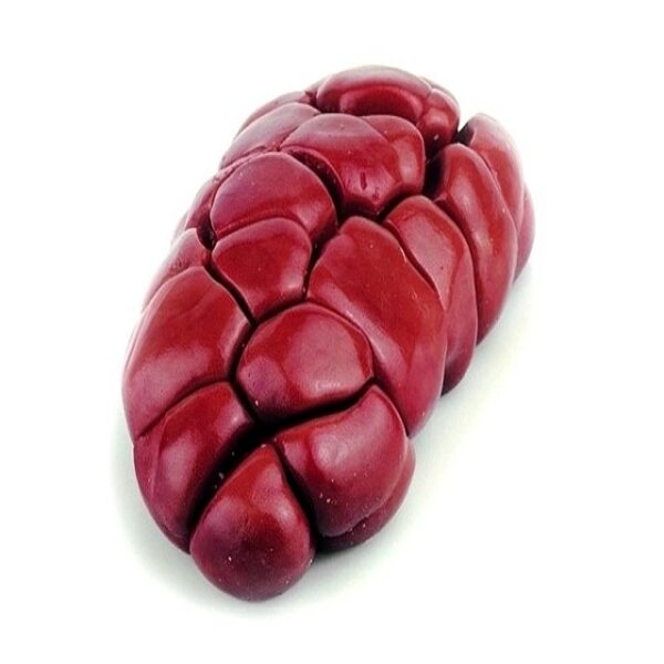 Brazilian frozen beef kidney - Image 2